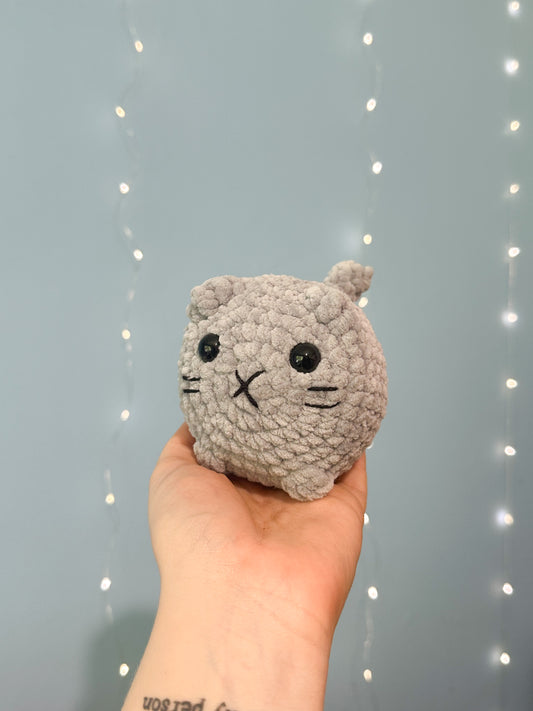 Nene die Katze