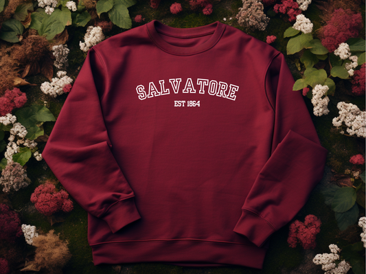 Salvatore College Sweater - garnet